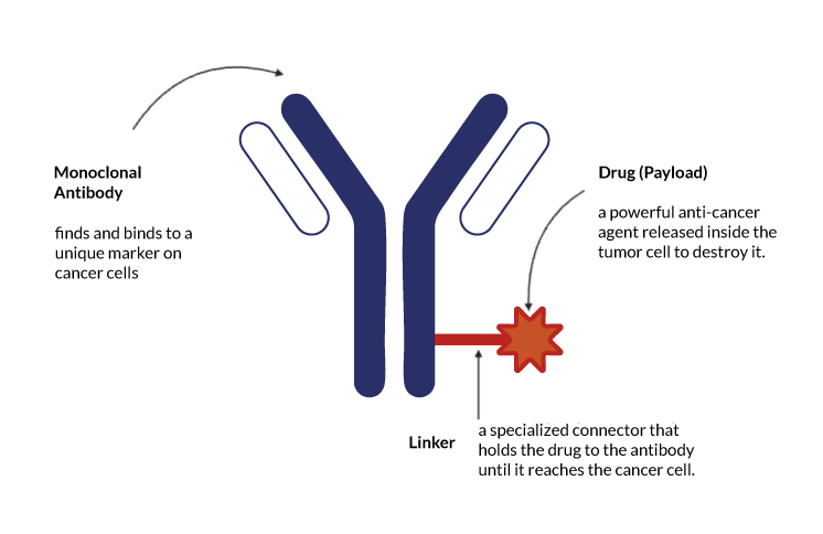 Antigenix antibody graphic