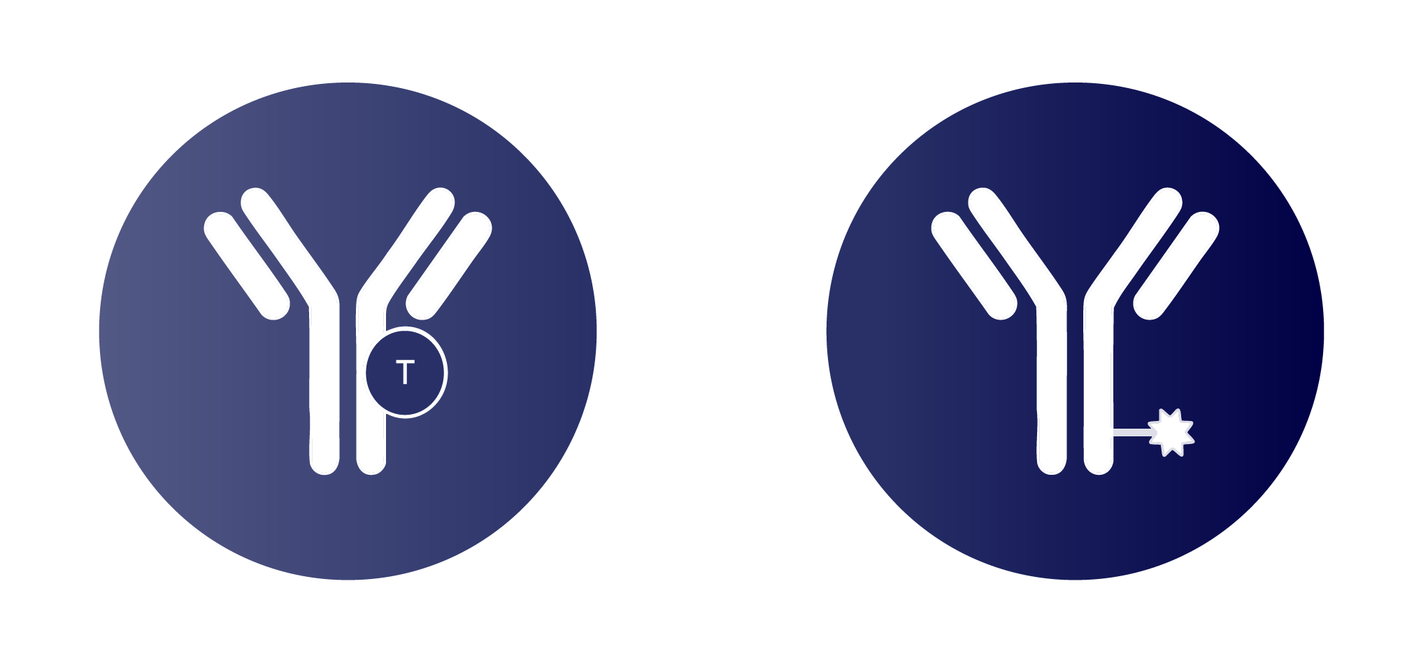 Illustrations of T-cell engagers and ADCs